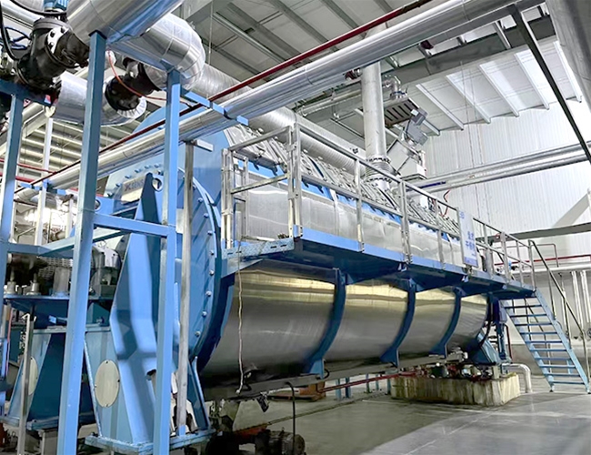 Disc dryer